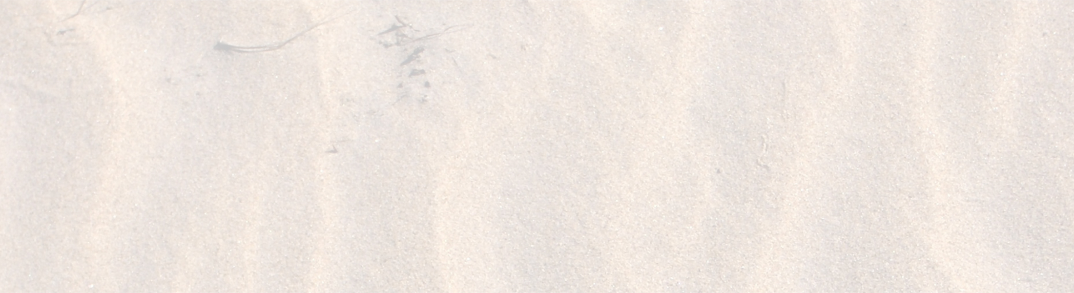 Titelbild Start Ferienhaus Dünenplatz Großenbrode Titelbild Start Ferienhaus Dünenplatz Großenbrode